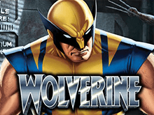 Wolverine